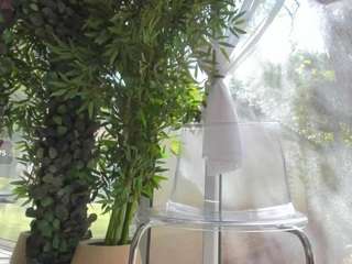 lexistorm Live Webcam on CamSoda