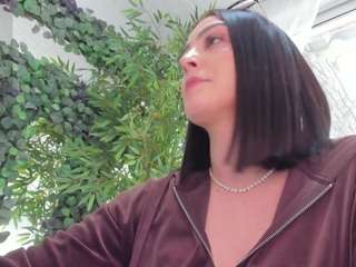 lexistorm