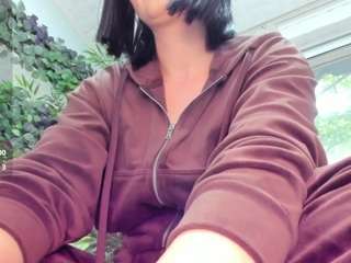 lexistorm