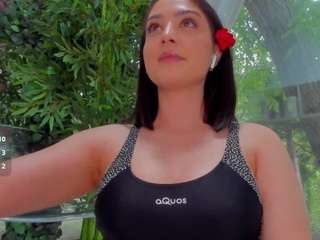 lexistorm