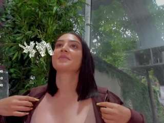 lexistorm