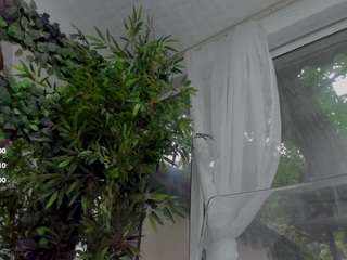 lexistorm