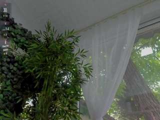 LexiStorm live cam