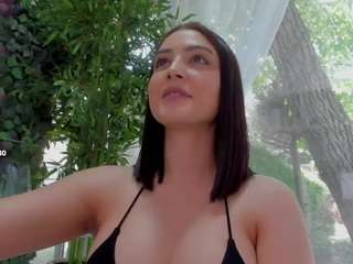 lexistorm