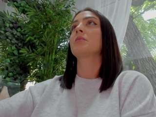 lexistorm