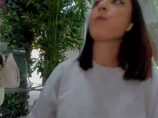 lexistorm
