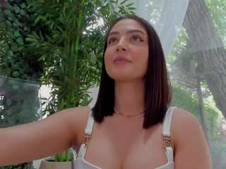 lexistorm