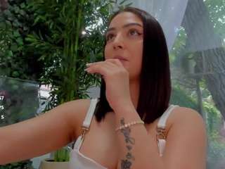 lexistorm