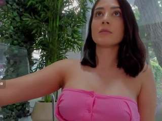lexistorm