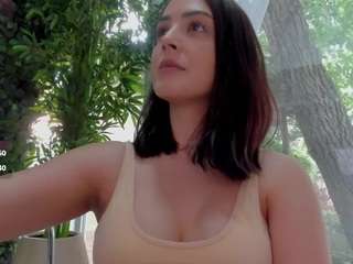lexistorm