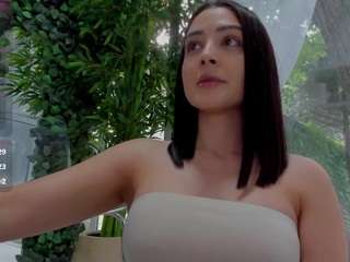 lexistorm