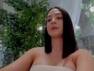 lexistorm