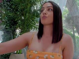 lexistorm
