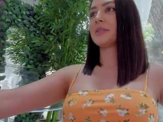 lexistorm