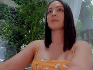 lexistorm