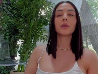 lexistorm
