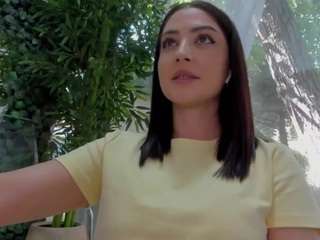 LexiStorm