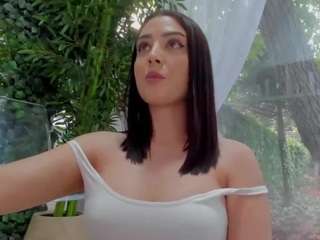 lexistorm