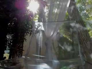 LexiStorm