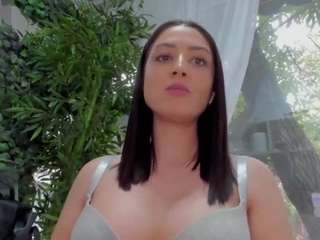 lexistorm
