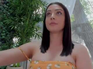 LexiStorm