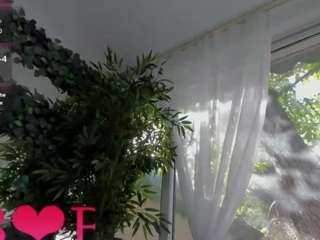 lexistorm live