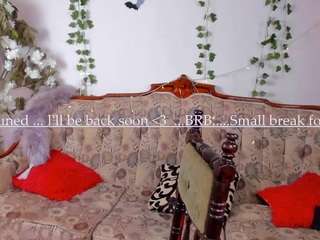 stelladarkspace webcam model