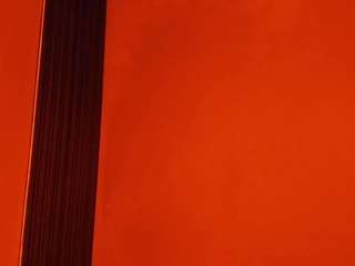 violett-salvatore live webcam show