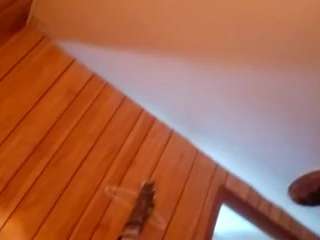 jarrettvaughn Live Webcam on {site_name}