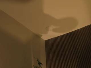 ana-gil webcam
