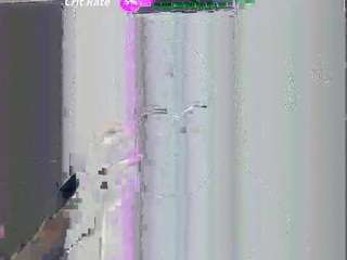 katttycat webcam
