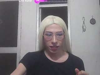 katttycat