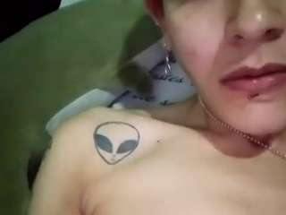 Gaticatraviesa