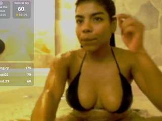 dakotaferreti