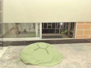 dakotaferreti live webcam show