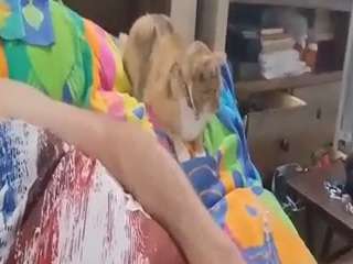 bmyddy Sex Cam Show
