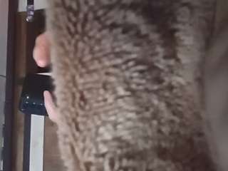 bmyddy live cam preview
