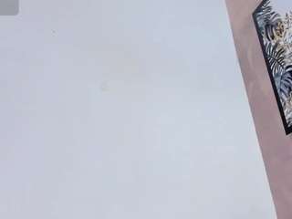 dahianalincoln webcam