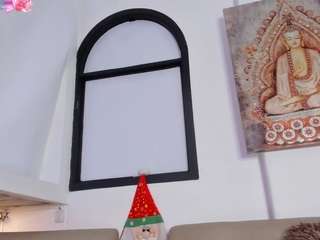 dahianalincoln webcam