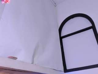 dahianalincoln webcam