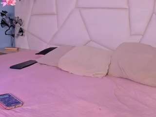 dahianalincoln webcam