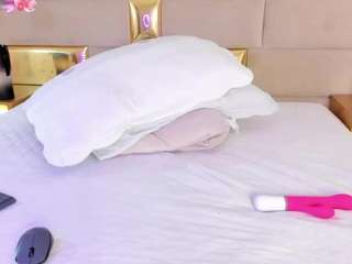 dahianalincoln webcam