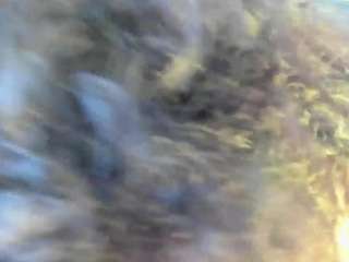 miilowolf