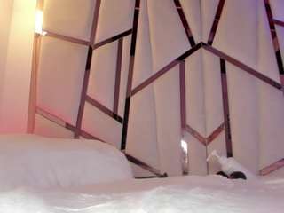 shybootty18 live webcam show