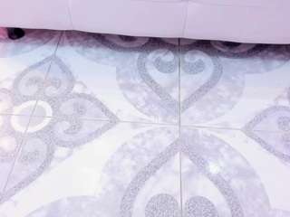 sophia-models webcam