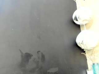 sophia-models's CamSoda show and profile