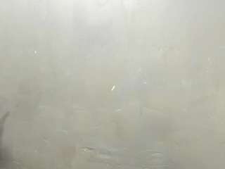 sophia-models webcam