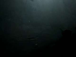 sophia-models webcam