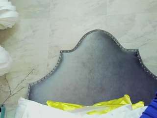 sophia-models webcam