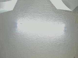 sophia-models webcam